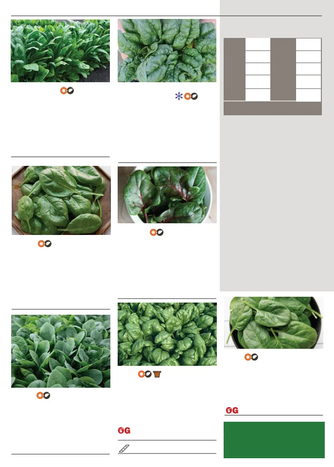 Territorial Seed Company Territorial Seed 2026 Spring Catalog - Page 90