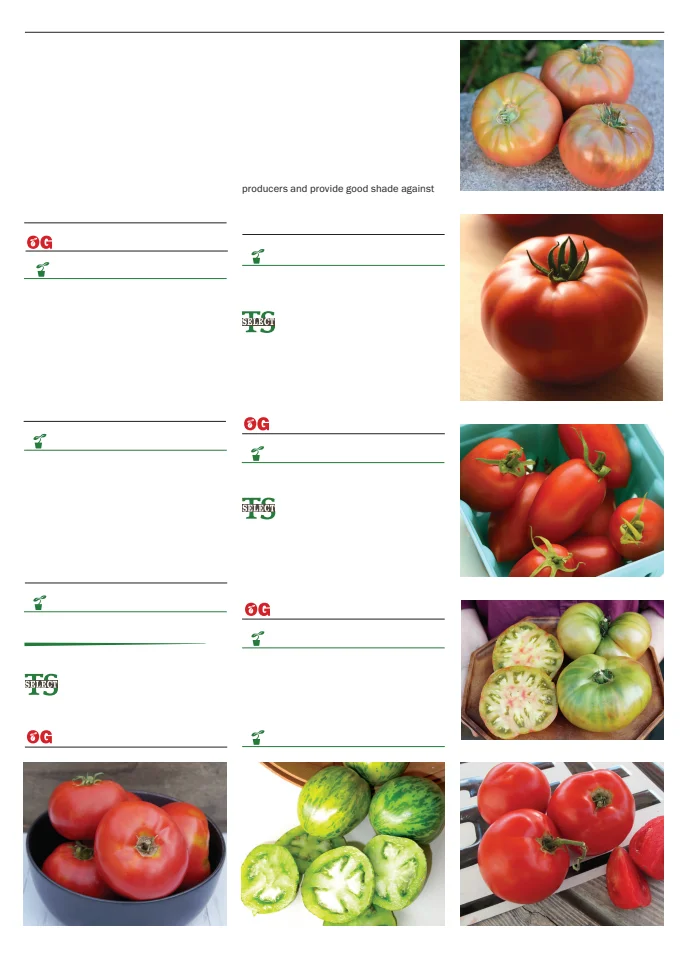 Territorial Seed Company Territorial Seed 2026 Spring Catalog - Page 93