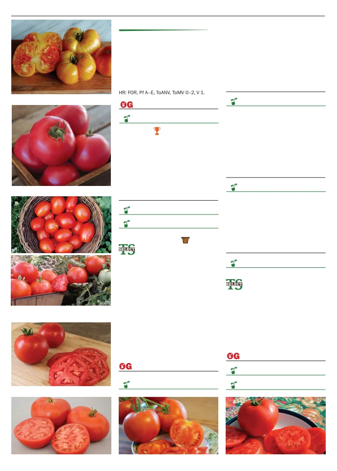 Territorial Seed Company Territorial Seed 2026 Spring Catalog - Page 94
