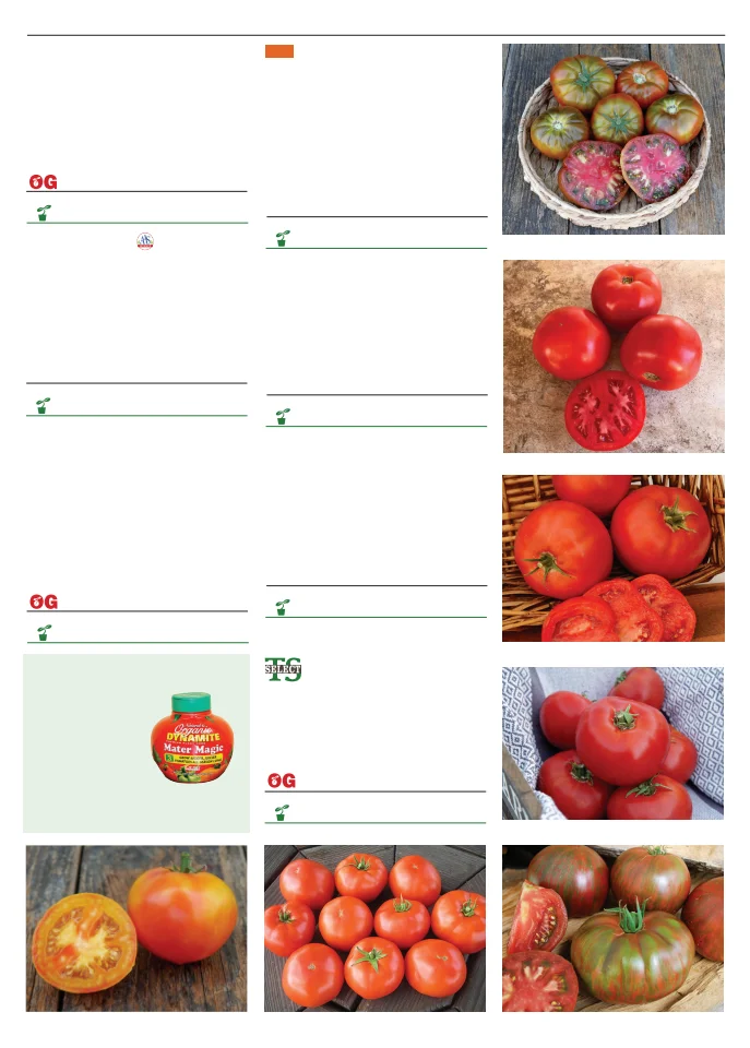 Territorial Seed Company Territorial Seed 2026 Spring Catalog - Page 95