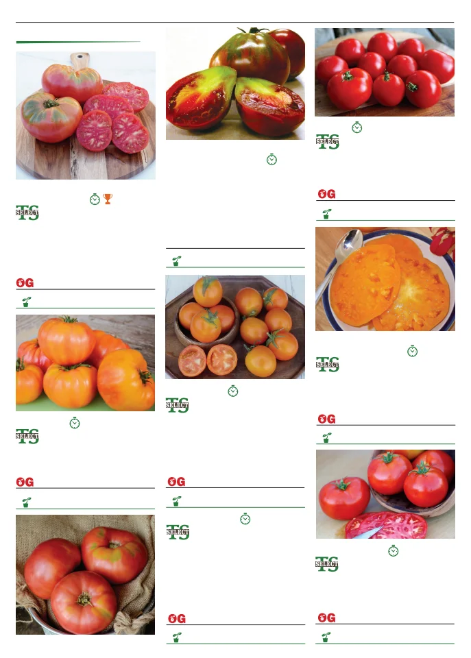 Territorial Seed Company Territorial Seed 2026 Spring Catalog - Page 96