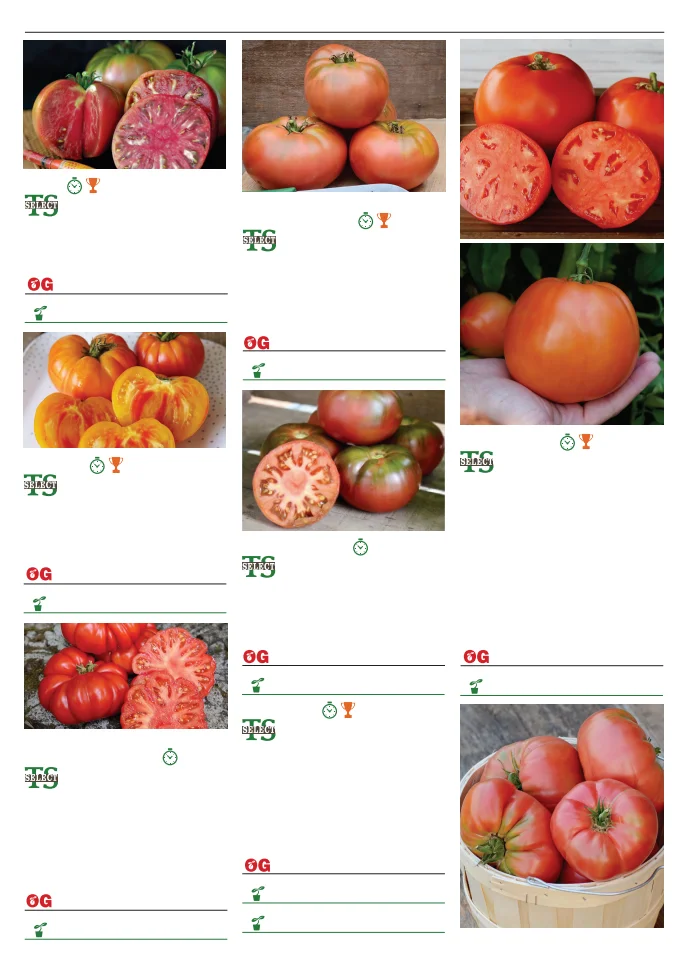 Territorial Seed Company Territorial Seed 2026 Spring Catalog - Page 97