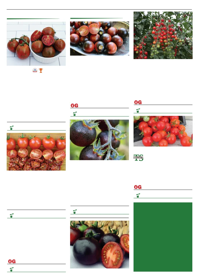 Territorial Seed Company Territorial Seed 2026 Spring Catalog - Page 98