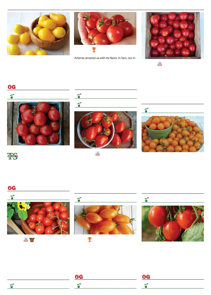 Territorial Seed Company Territorial Seed 2026 Spring Catalog - Page 99