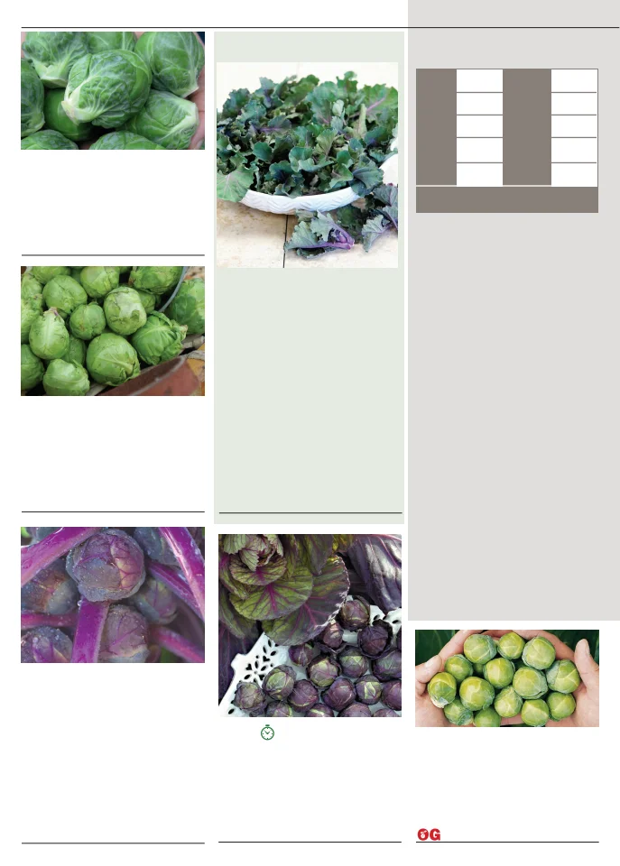 Territorial Seed Company Territorial Seed 2026 Fall & Winter Catalog - Page 10