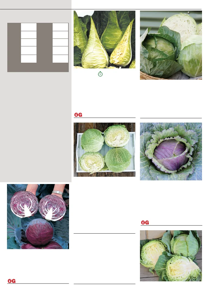 Territorial Seed Company Territorial Seed 2026 Fall & Winter Catalog - Page 11