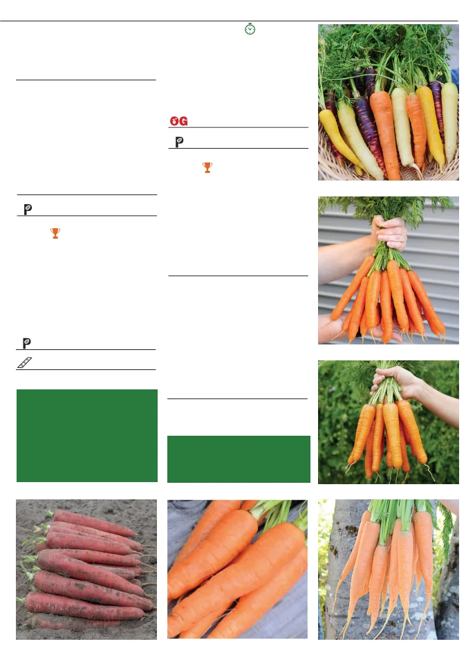 Territorial Seed Company Territorial Seed 2026 Fall & Winter Catalog - Page 15