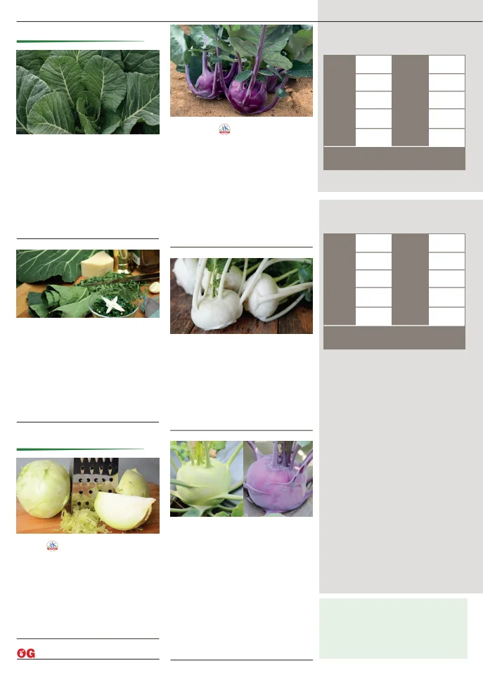 Territorial Seed Company Territorial Seed 2026 Fall & Winter Catalog - Page 16