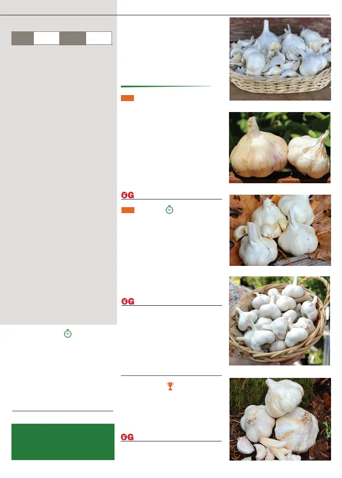 Territorial Seed Company Territorial Seed 2026 Fall & Winter Catalog - Page 17