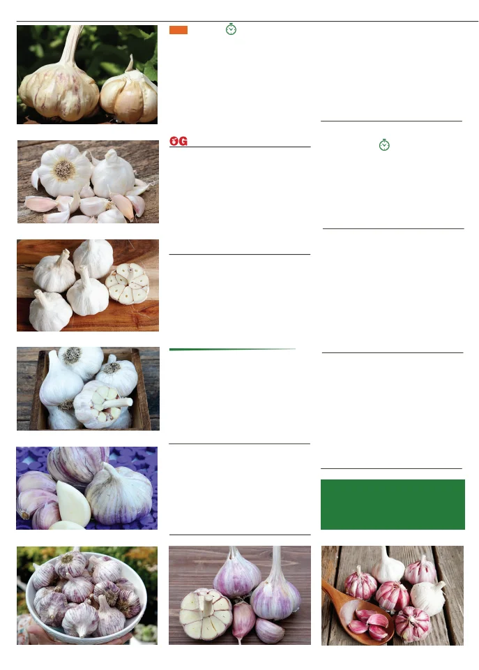 Territorial Seed Company Territorial Seed 2026 Fall & Winter Catalog - Page 18
