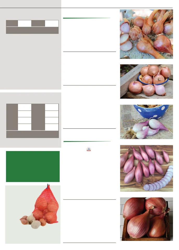 Territorial Seed Company Territorial Seed 2026 Fall & Winter Catalog - Page 21