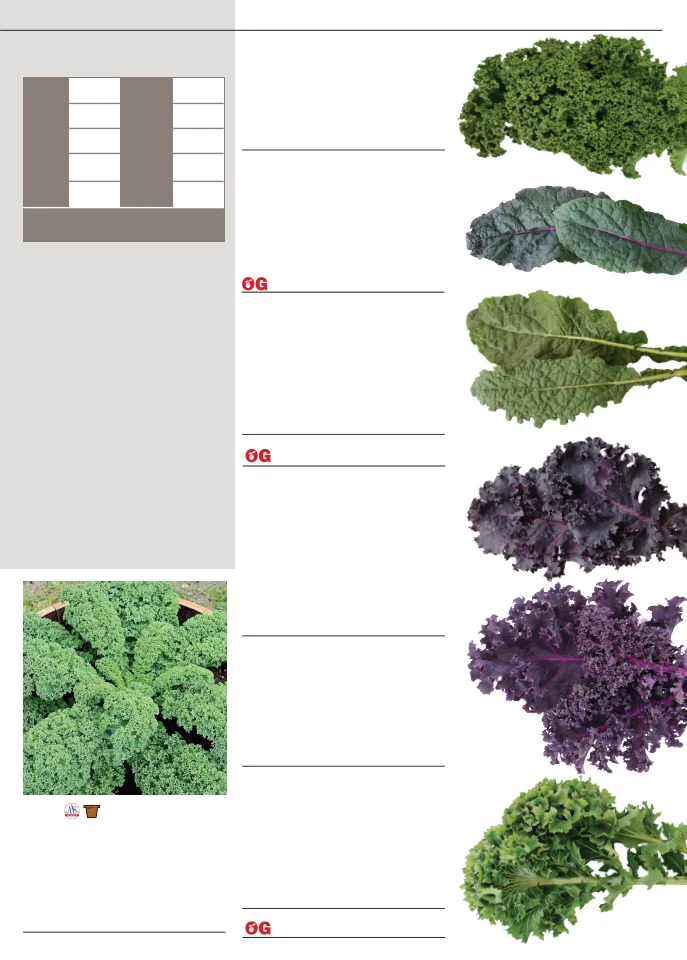 Territorial Seed Company Territorial Seed 2026 Fall & Winter Catalog - Page 23