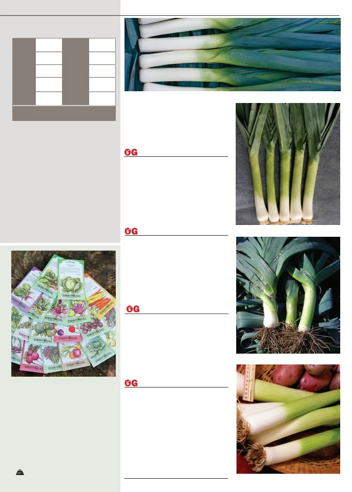 Territorial Seed Company Territorial Seed 2026 Fall & Winter Catalog - Page 25