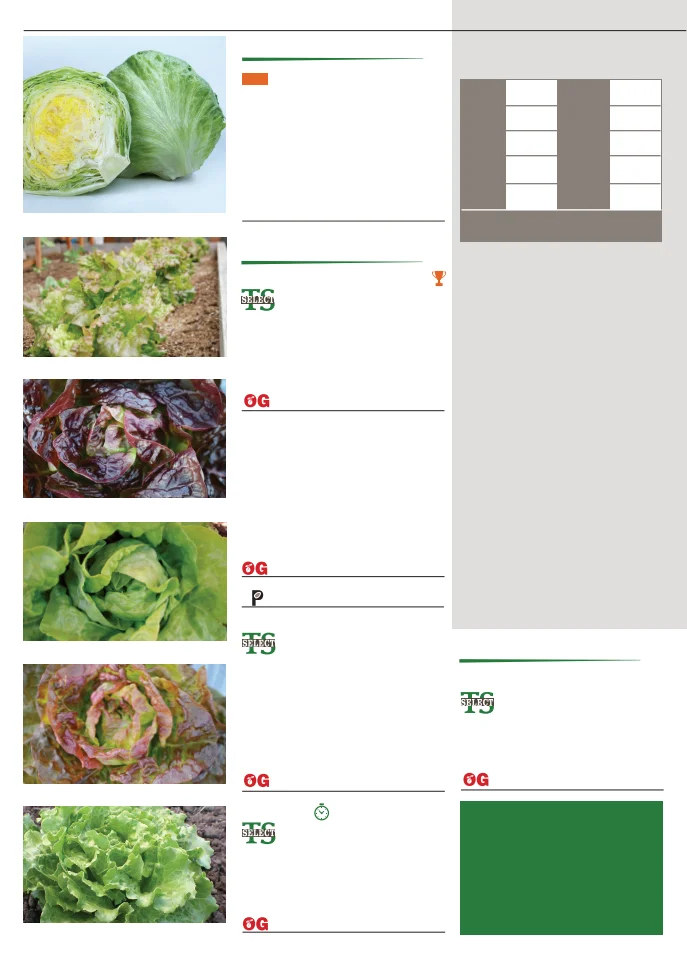 Territorial Seed Company Territorial Seed 2026 Fall & Winter Catalog - Page 26