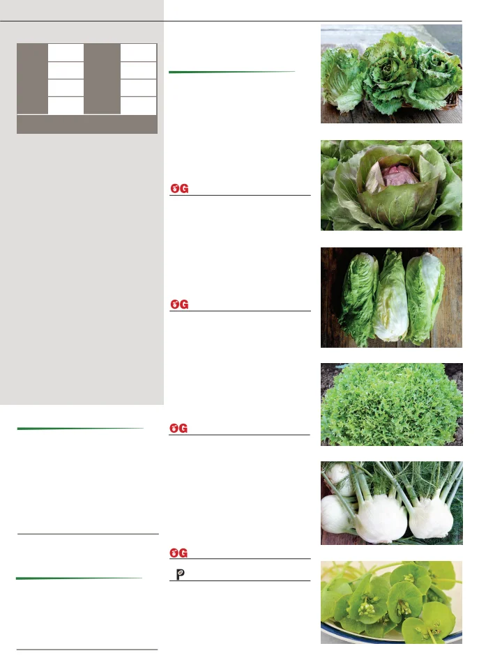 Territorial Seed Company Territorial Seed 2026 Fall & Winter Catalog - Page 29