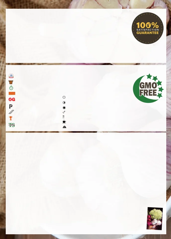Territorial Seed Company Territorial Seed 2026 Fall & Winter Catalog - Page 3