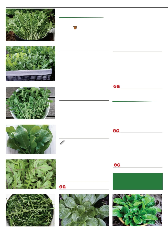 Territorial Seed Company Territorial Seed 2026 Fall & Winter Catalog - Page 30