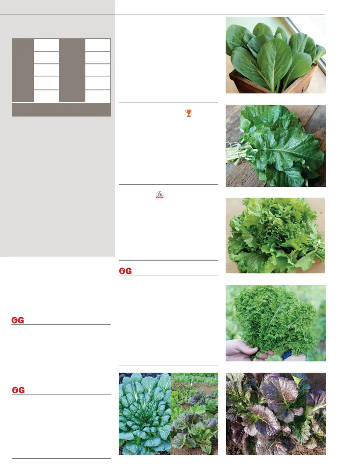 Territorial Seed Company Territorial Seed 2026 Fall & Winter Catalog - Page 31