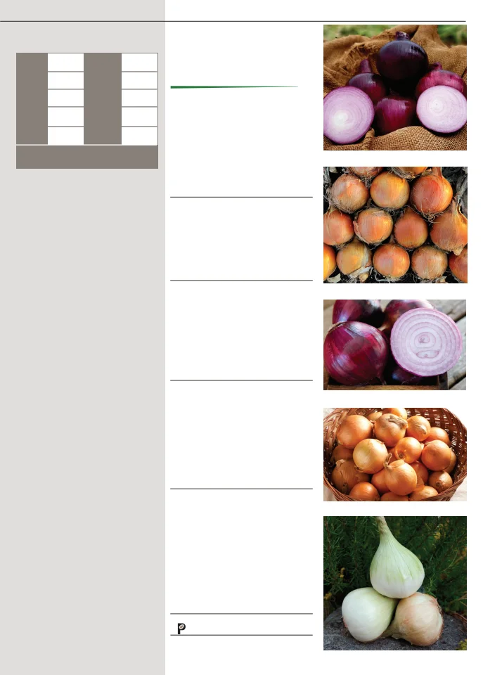 Territorial Seed Company Territorial Seed 2026 Fall & Winter Catalog - Page 33