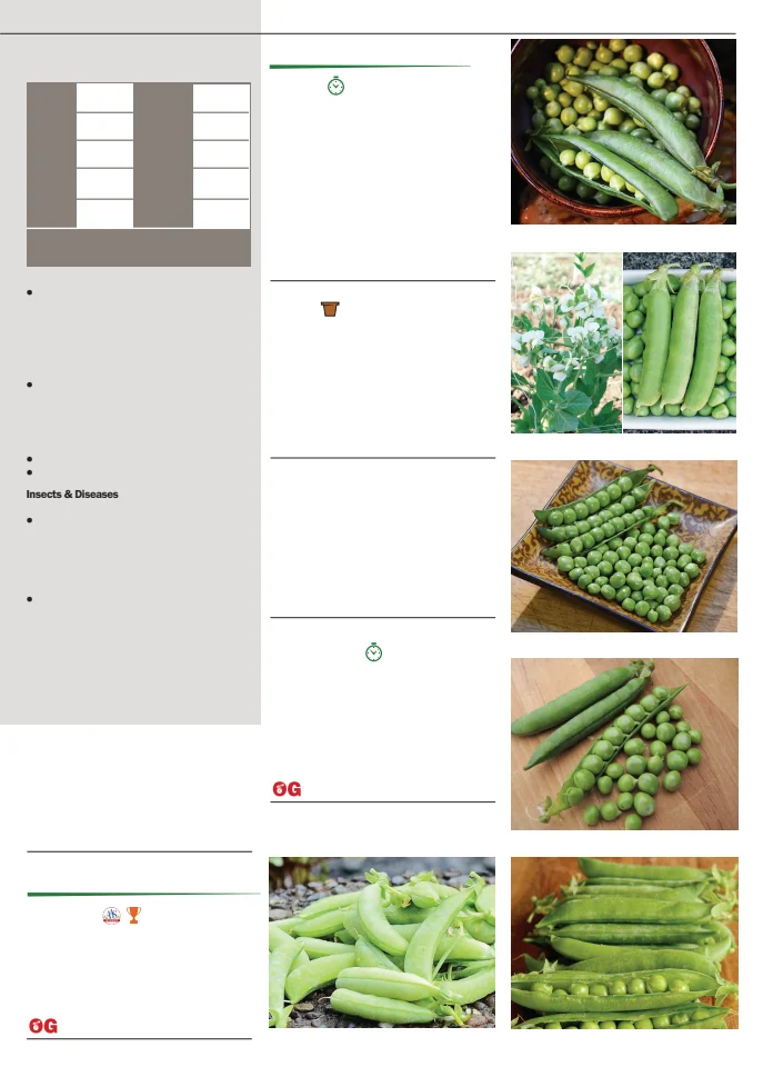 Territorial Seed Company Territorial Seed 2026 Fall & Winter Catalog - Page 35