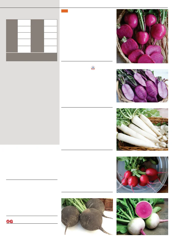Territorial Seed Company Territorial Seed 2026 Fall & Winter Catalog - Page 37