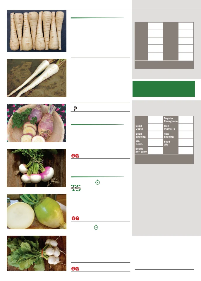 Territorial Seed Company Territorial Seed 2026 Fall & Winter Catalog - Page 38