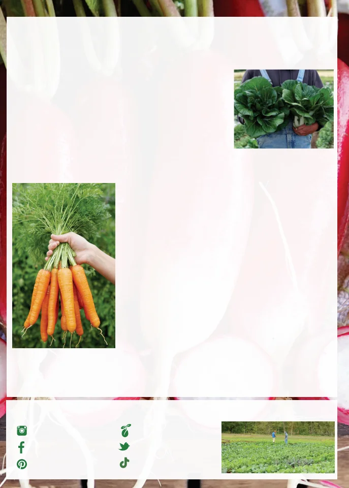 Territorial Seed Company Territorial Seed 2026 Fall & Winter Catalog - Page 4