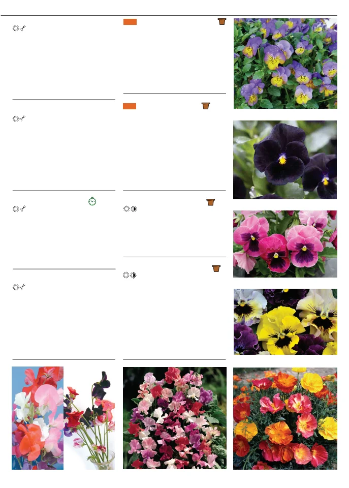 Territorial Seed Company Territorial Seed 2026 Fall & Winter Catalog - Page 43