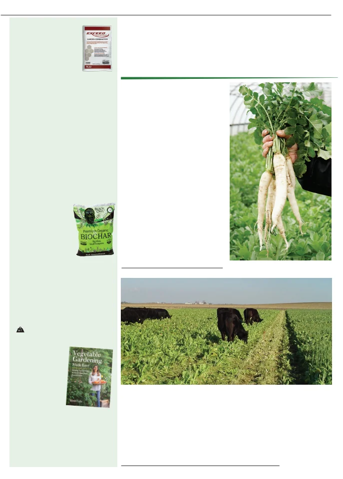 Territorial Seed Company Territorial Seed 2026 Fall & Winter Catalog - Page 47