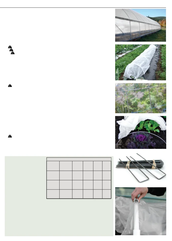 Territorial Seed Company Territorial Seed 2026 Fall & Winter Catalog - Page 51