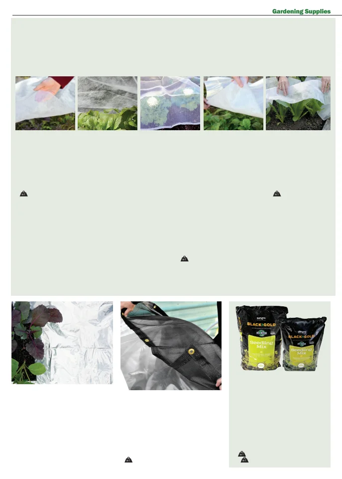 Territorial Seed Company Territorial Seed 2026 Fall & Winter Catalog - Page 52