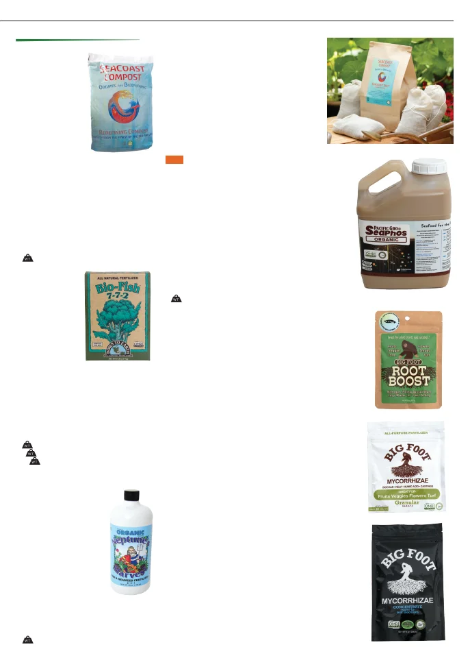 Territorial Seed Company Territorial Seed 2026 Fall & Winter Catalog - Page 53