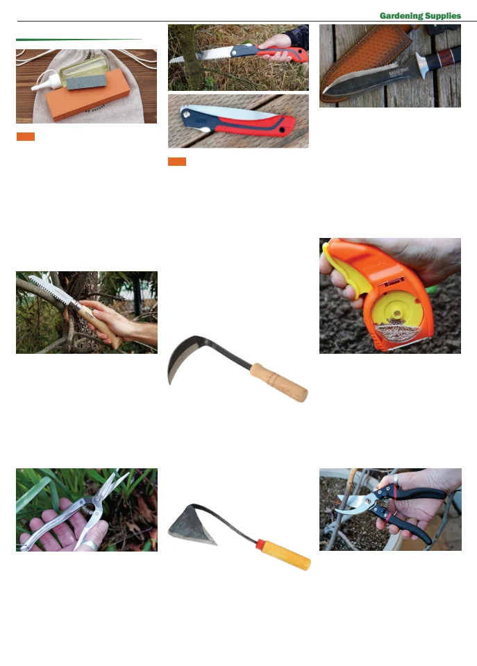 Territorial Seed Company Territorial Seed 2026 Fall & Winter Catalog - Page 56