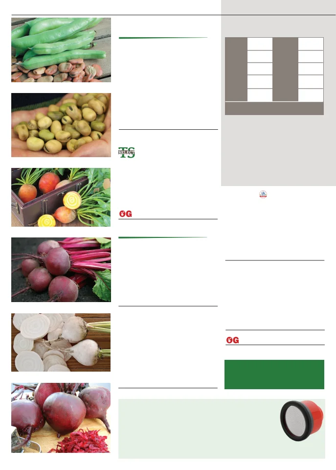 Territorial Seed Company Territorial Seed 2026 Fall & Winter Catalog - Page 6