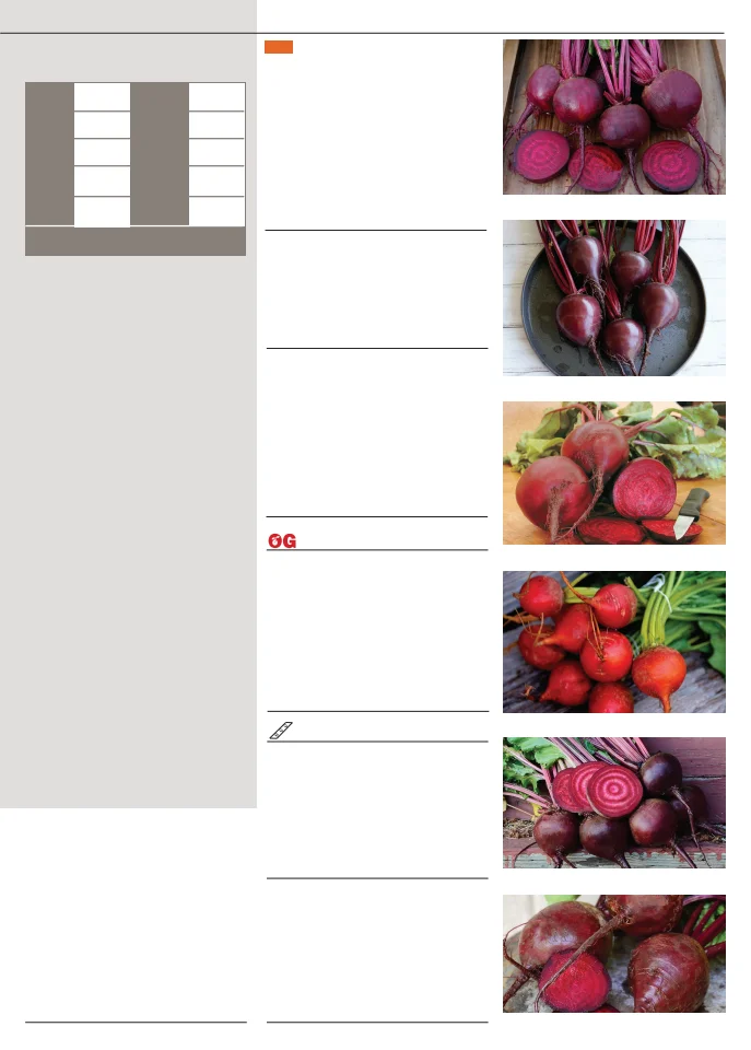 Territorial Seed Company Territorial Seed 2026 Fall & Winter Catalog - Page 7