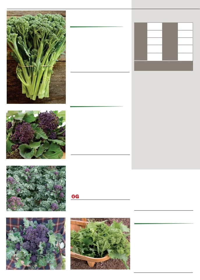 Territorial Seed Company Territorial Seed 2026 Fall & Winter Catalog - Page 8