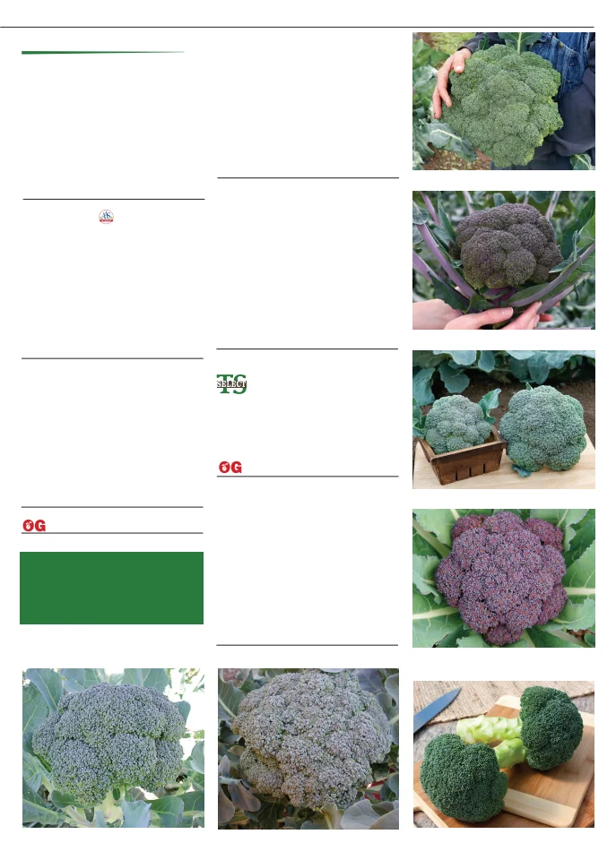 Territorial Seed Company Territorial Seed 2026 Fall & Winter Catalog - Page 9