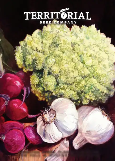 Territorial Seed 2026 Fall & Winter Catalog