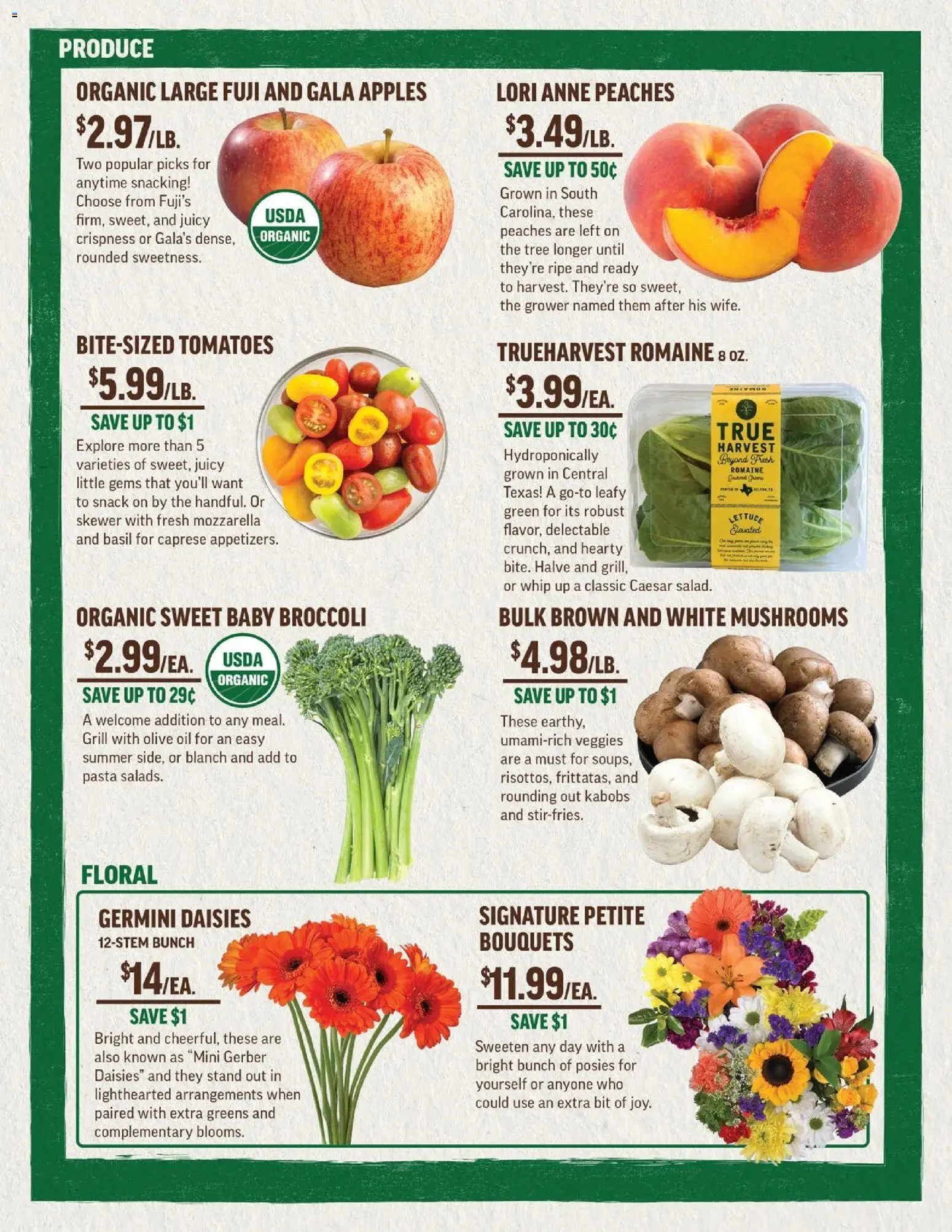 Flyer page 2