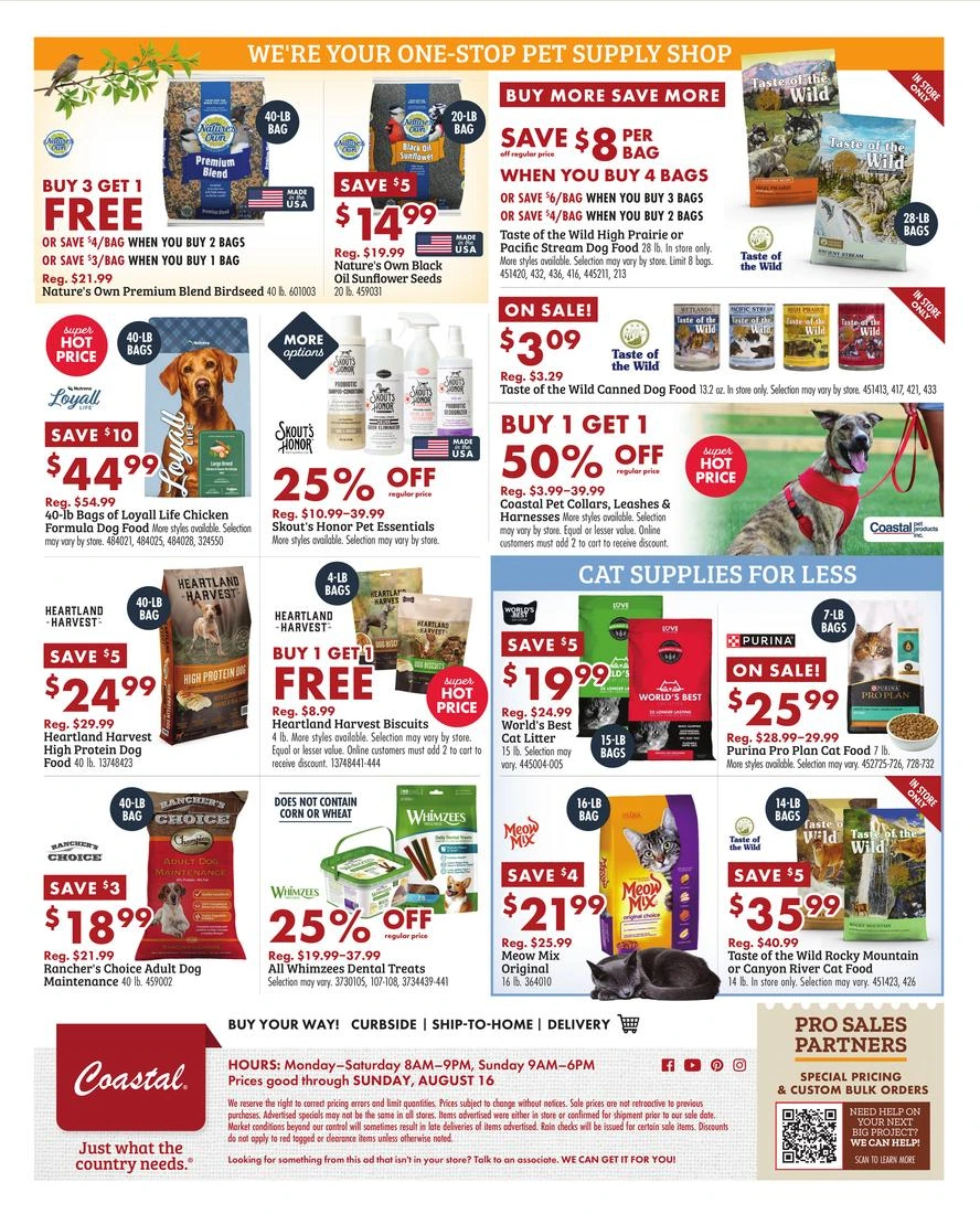 Flyer page 2