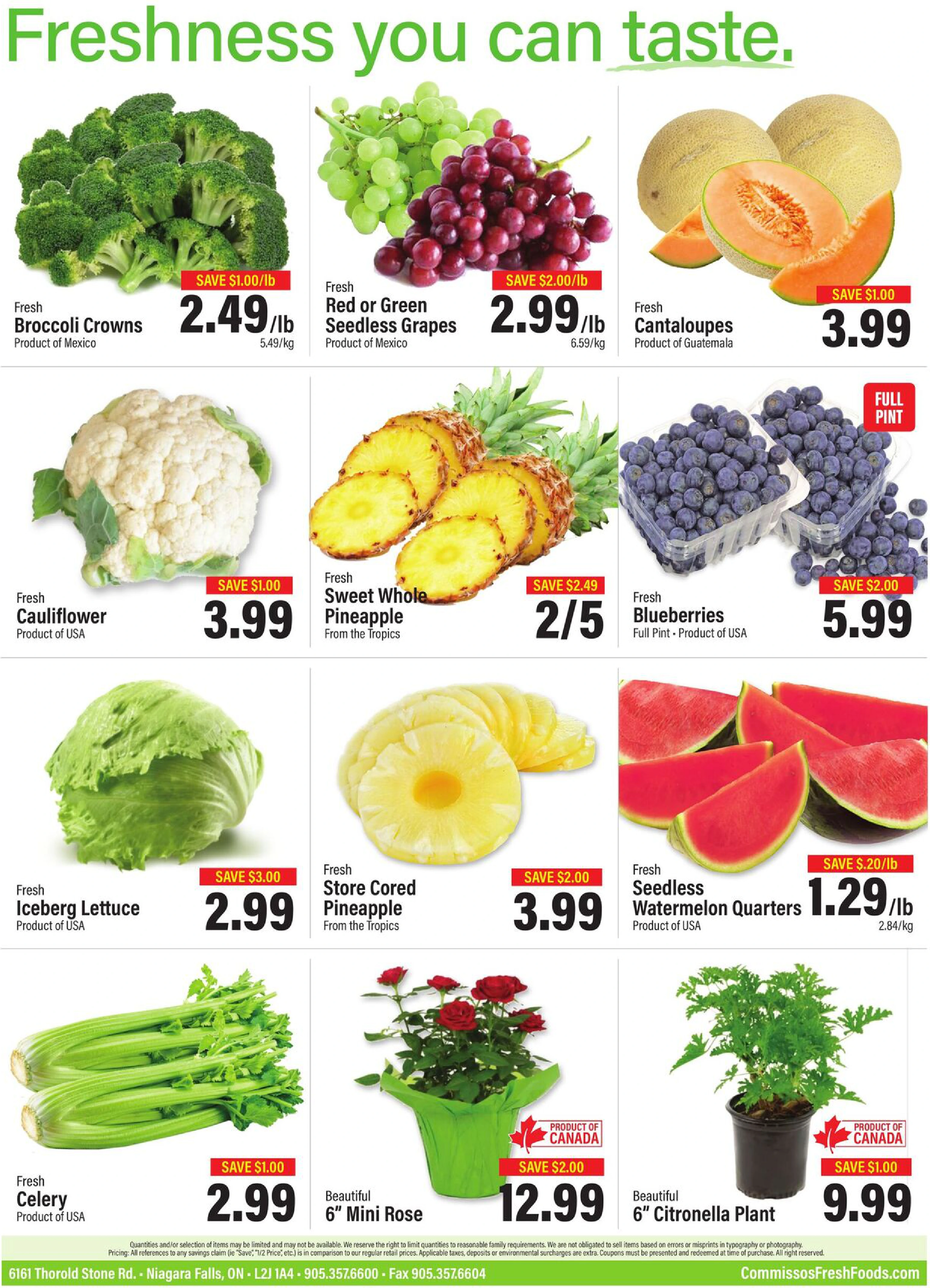 Flyer page 11