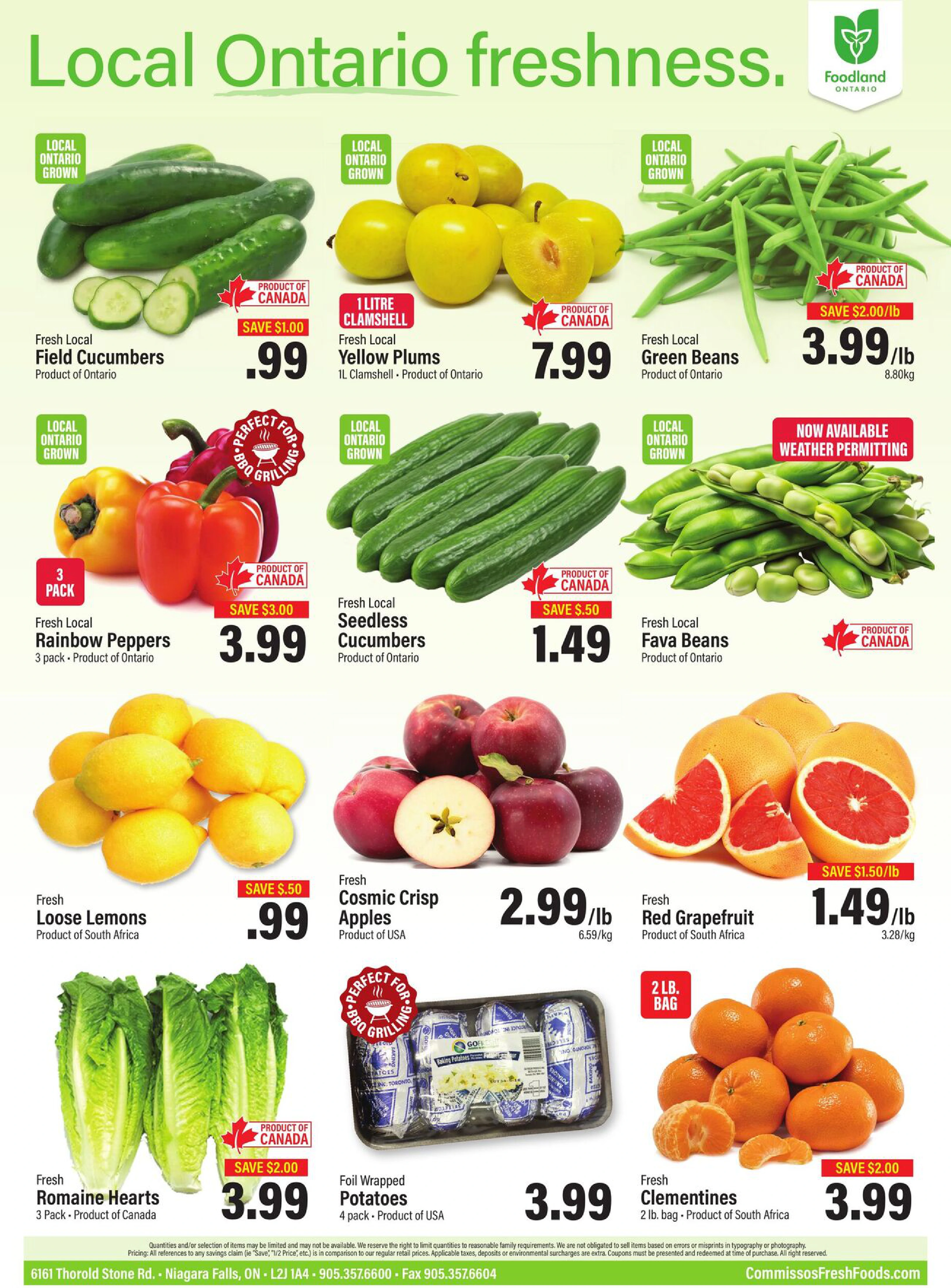Flyer page 10