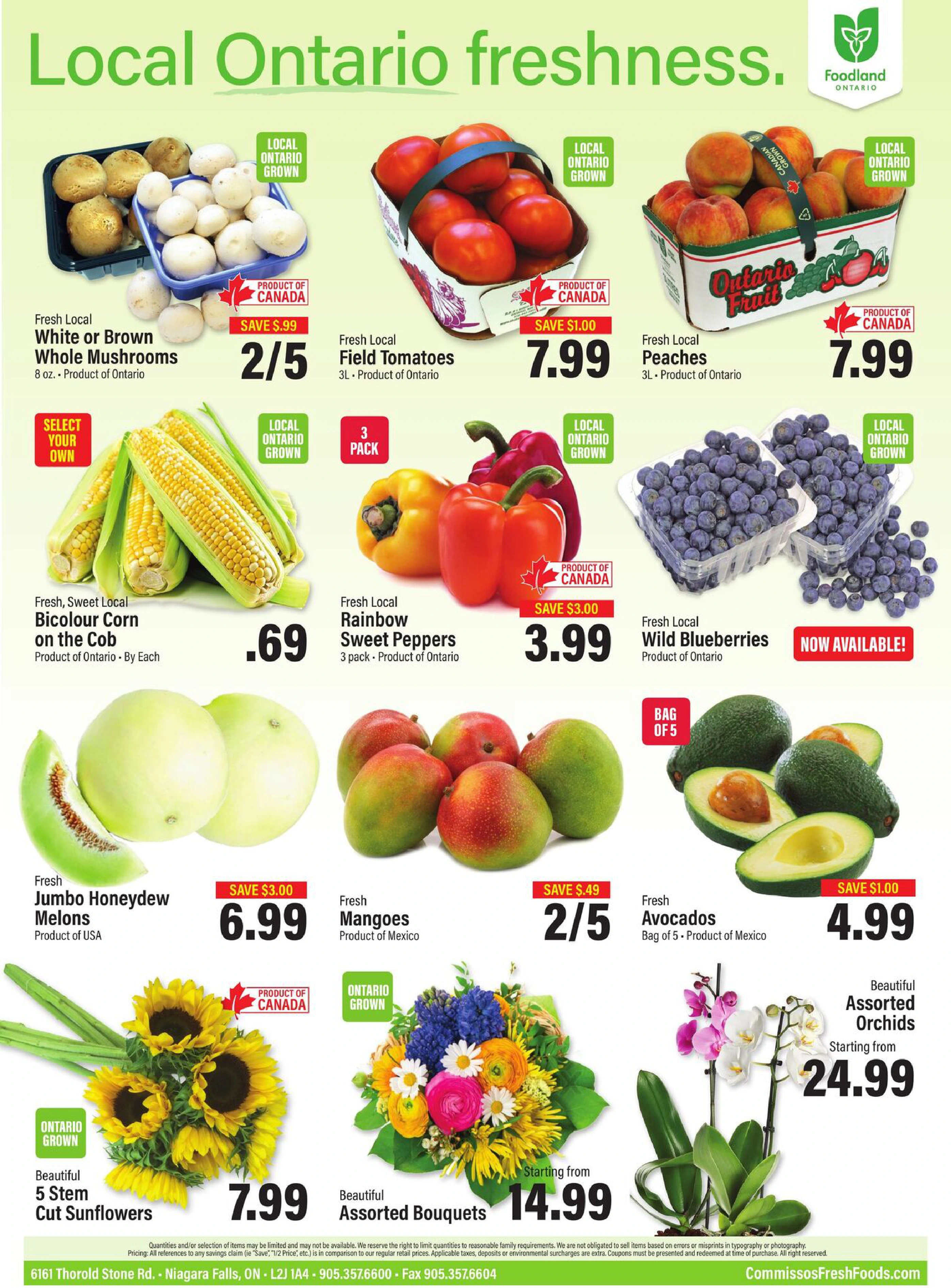 Flyer page 11