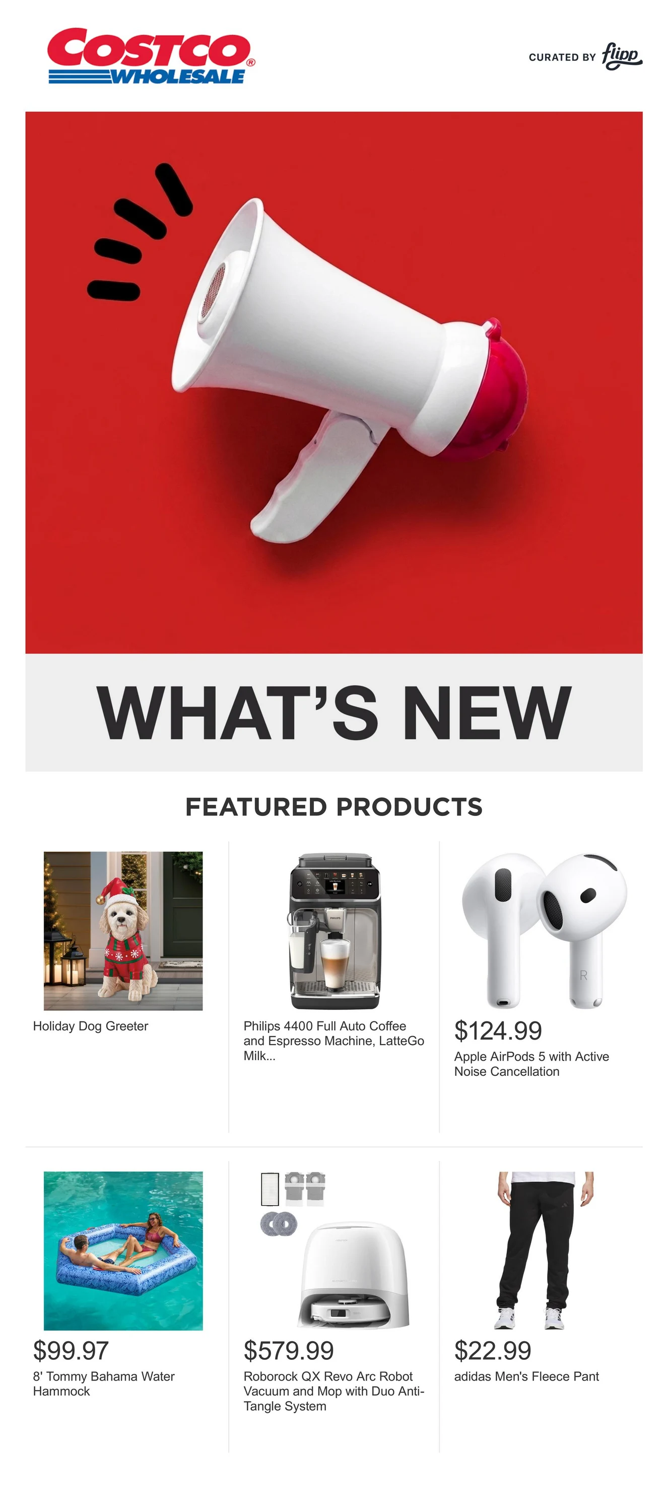 Costco Flyer - Page 1