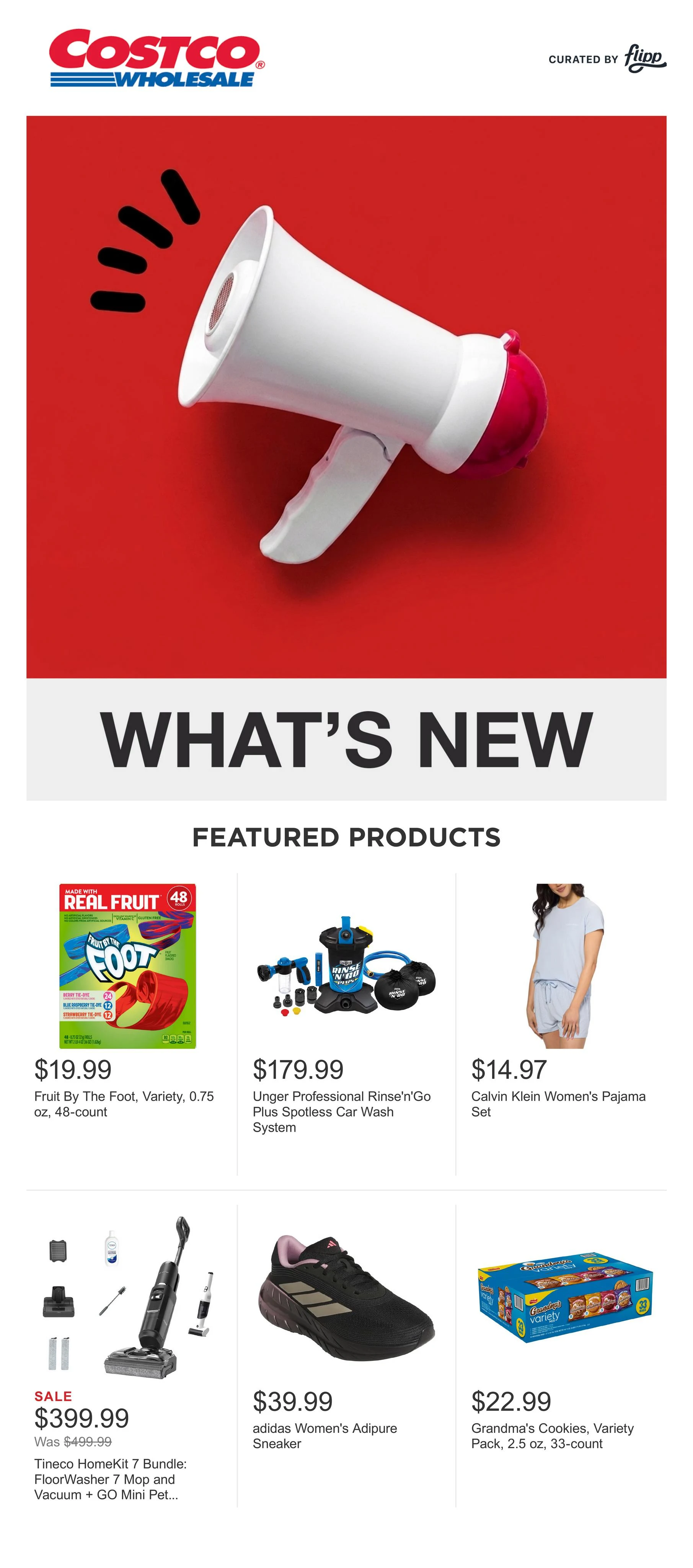 Costco Flyer - Page 1