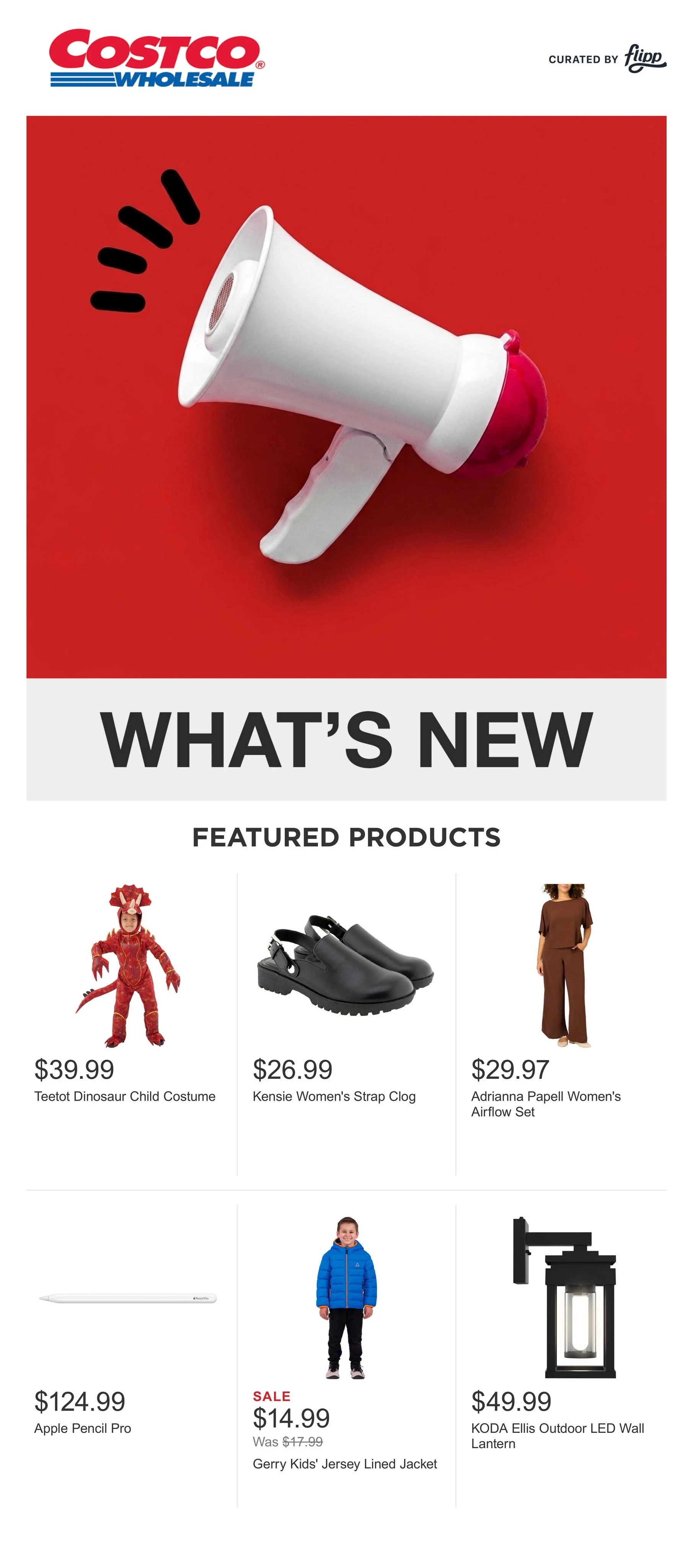 Costco Flyer - Page 1