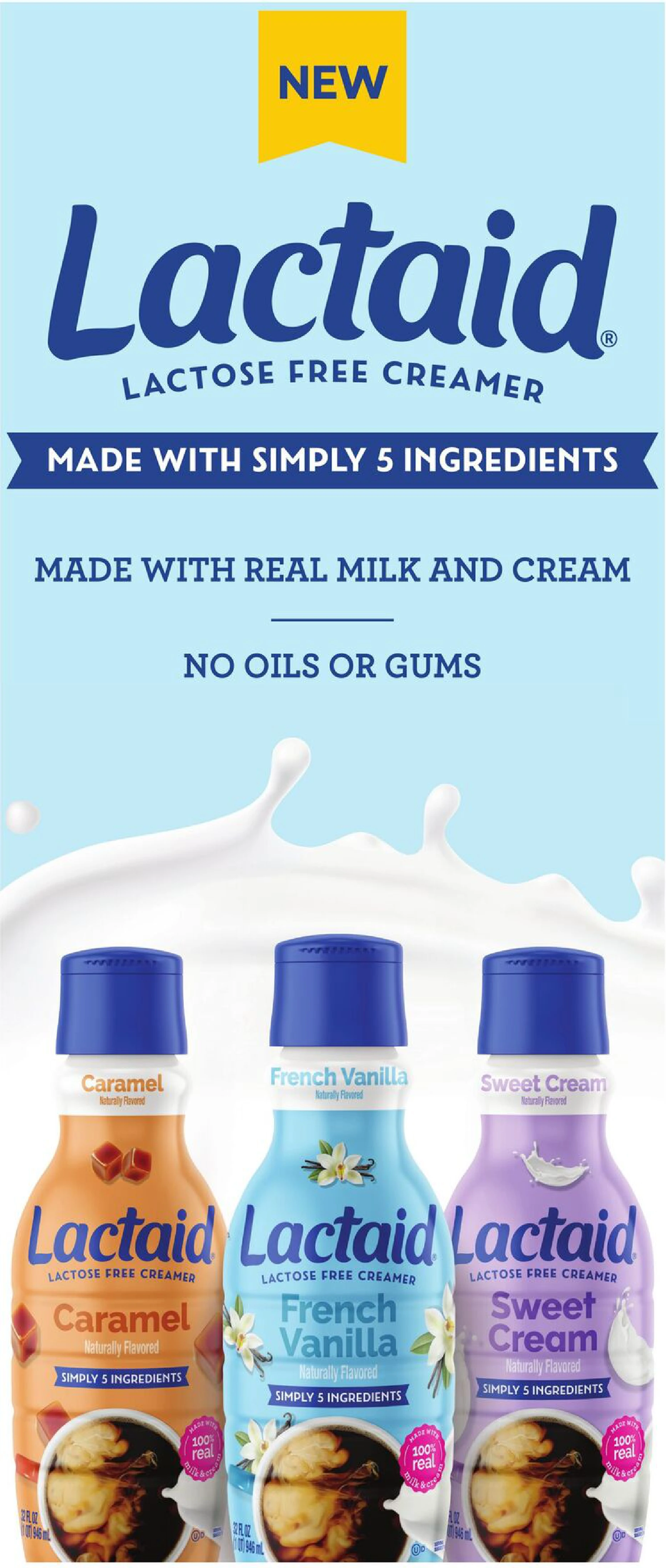 Flyer page 7