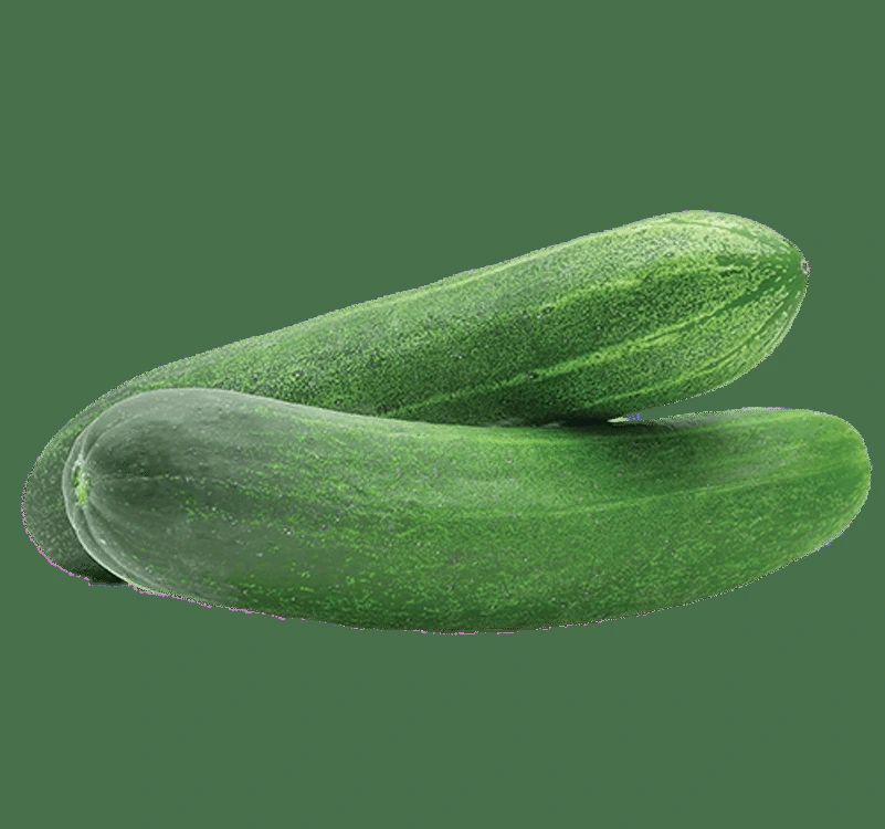 Flyer page 37