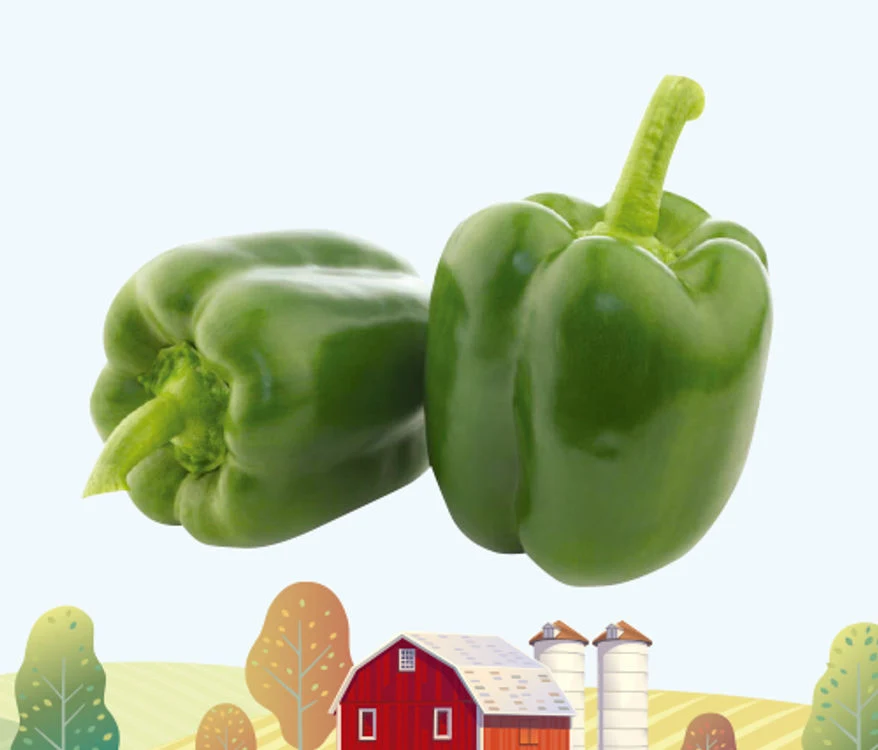 Dave's Markets Weekly Ad - Page 49