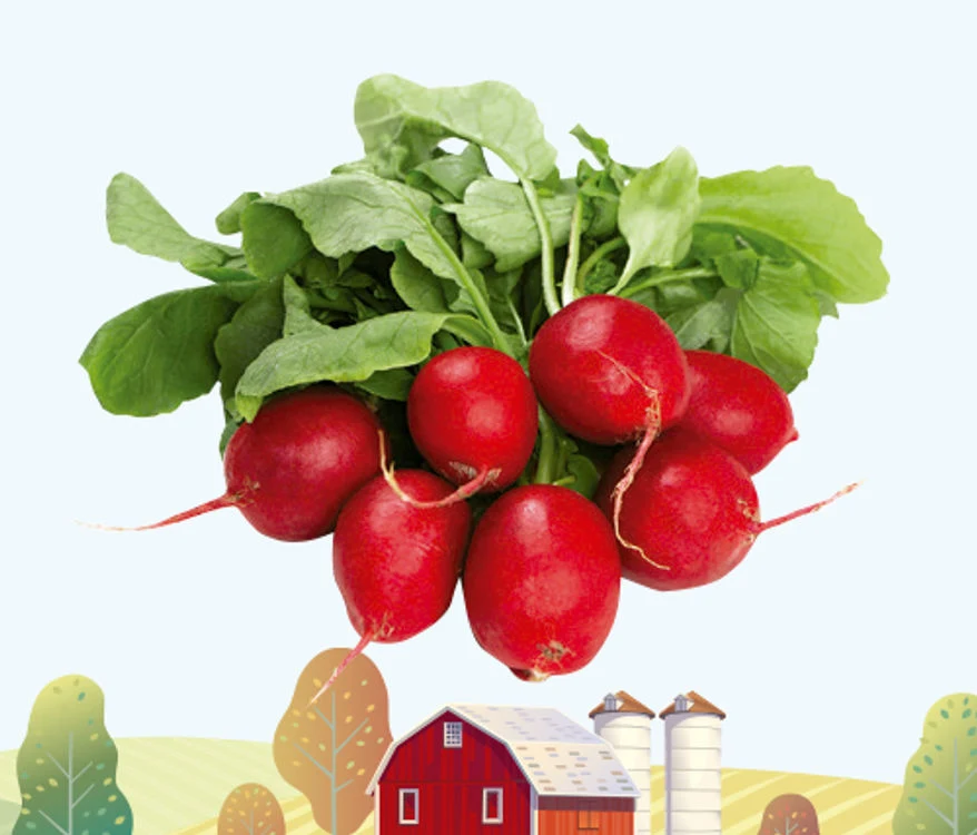 Dave's Markets Weekly Ad - Page 7
